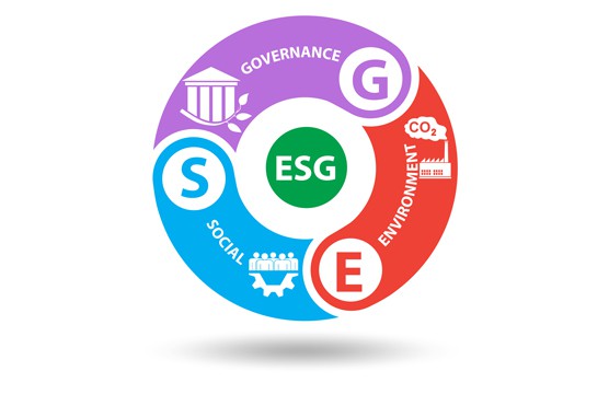 ESG Investment Criteria5