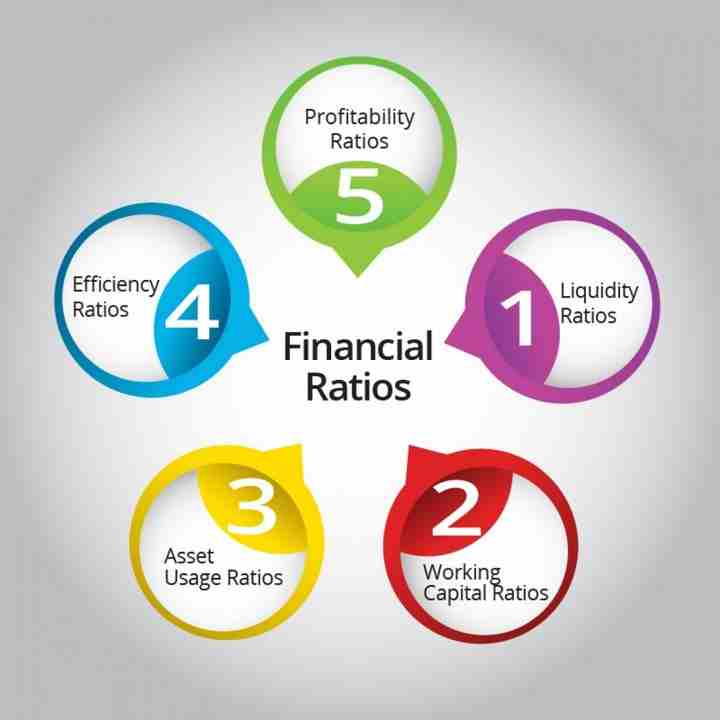 Financial Indicators and Stock Valuations