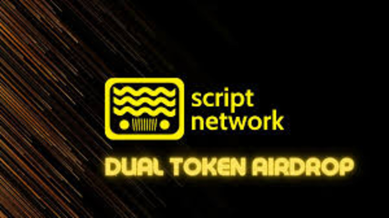 what is Script Network