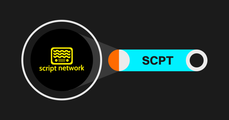 what is Script Network