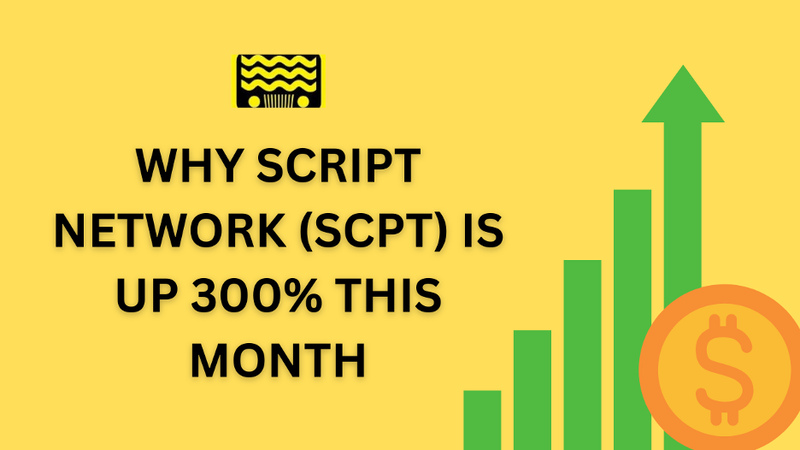 what is Script Network