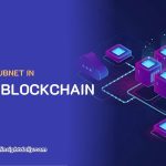 benefits-of-subnets-in-layer-1-blockchain